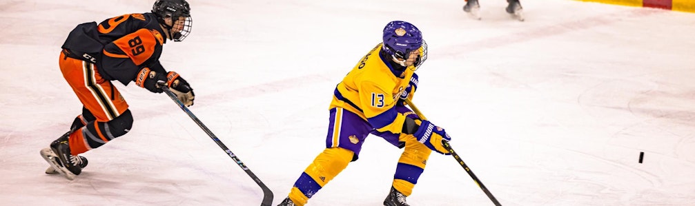 Sebastian Santiago 's Ice Hockey cover photo